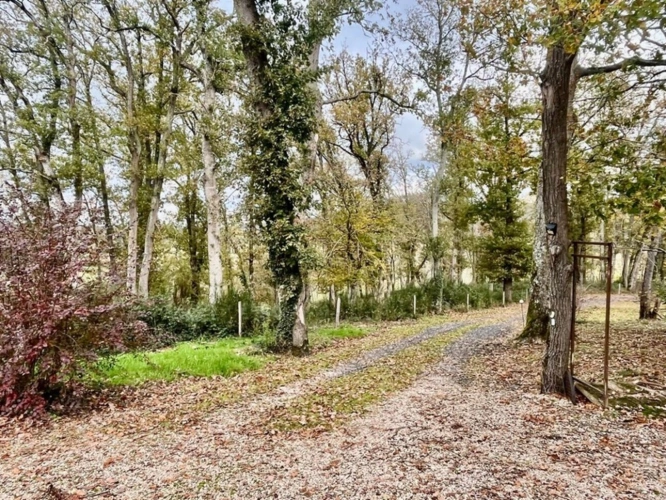 Photos 4 - Équestre - MIRANDE(32)et MIELAN proche: PROPRIETE 3.3HA, isolée, calme, position dominante, VUE, sans travaux, chevaux et famille bienvenus