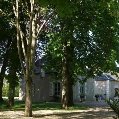 Photos 14 - Équestre - Magnifique château entièrement rénové et propriété équestre à vendre proche de SANCERRE (18)