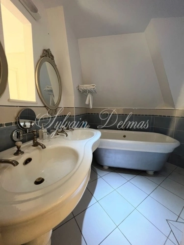 Photos 9 - Prestige - Propriete à vendre 25 pièces proche de POITIERS (86)