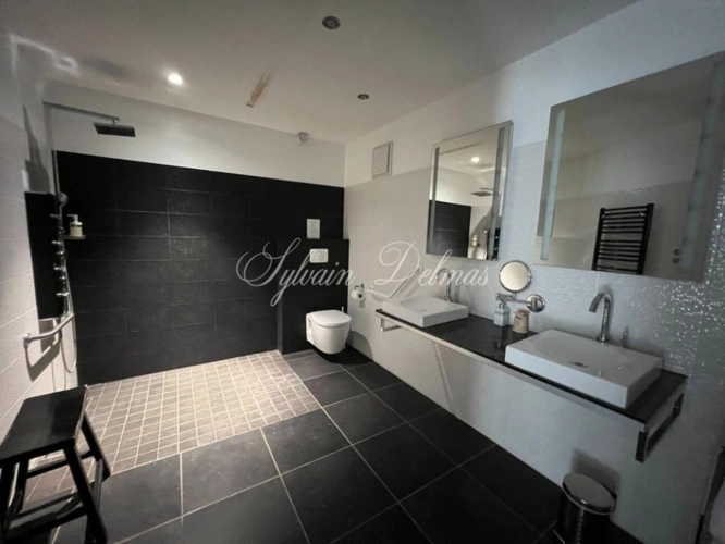 Photos 21 - Prestige - Propriete à vendre 25 pièces proche de POITIERS (86)