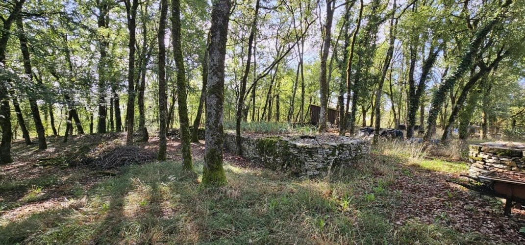 Photos 5 - Tourist - House