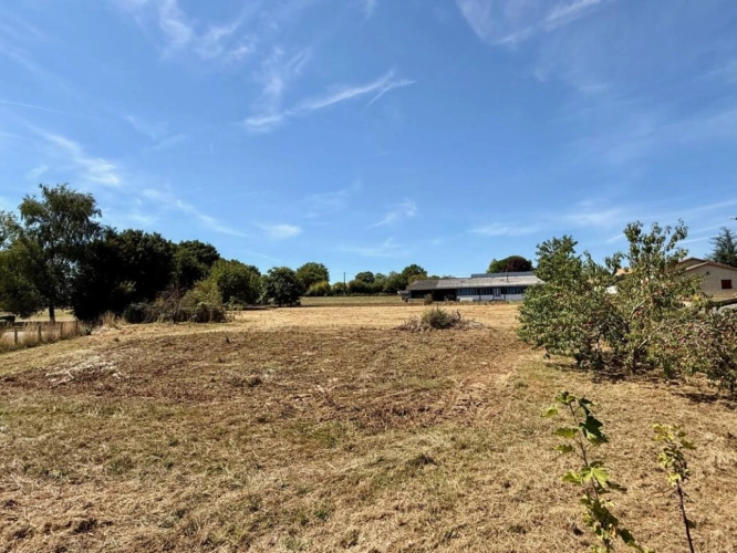 Photos 16 - Prestige - Maison