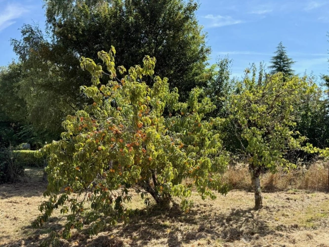 Photos 18 - Prestige - Maison