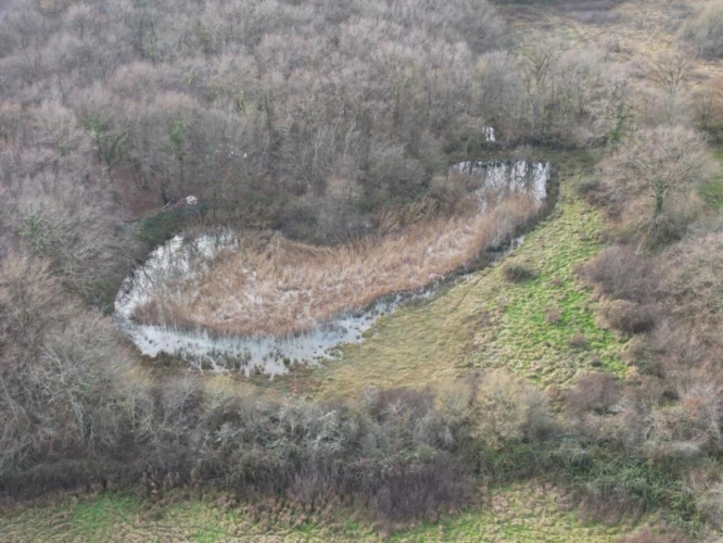Photos 1 - Foncière - Prairie naturelle dans l'INDRE