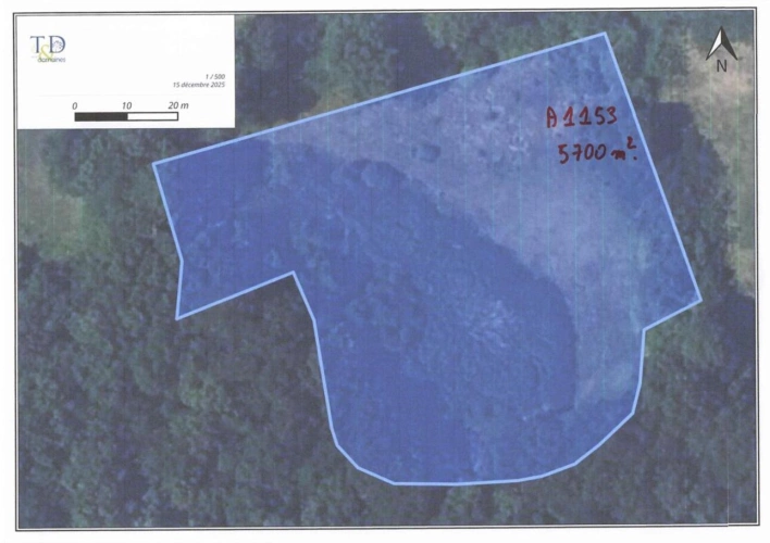 Photos 2 - Foncière - Prairie naturelle dans l'INDRE