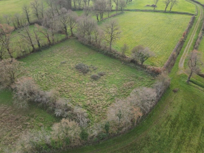 Photos 3 - Foncière - Prairie naturelle dans l'INDRE