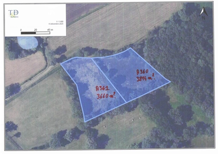 Photos 5 - Foncière - Prairie naturelle dans l'INDRE