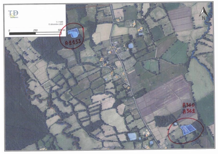 Photos 6 - Foncière - Prairie naturelle dans l'INDRE