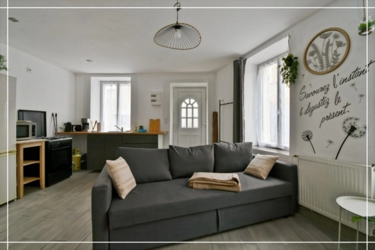 Photos 13 - Touristique - Proprieté comprenant 2 maison et 1 appartement CHATEAUMEILLANT (18)