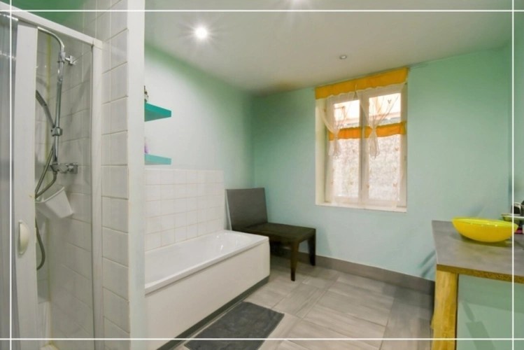 Photos 22 - Touristique - Proprieté comprenant 2 maison et 1 appartement CHATEAUMEILLANT (18)