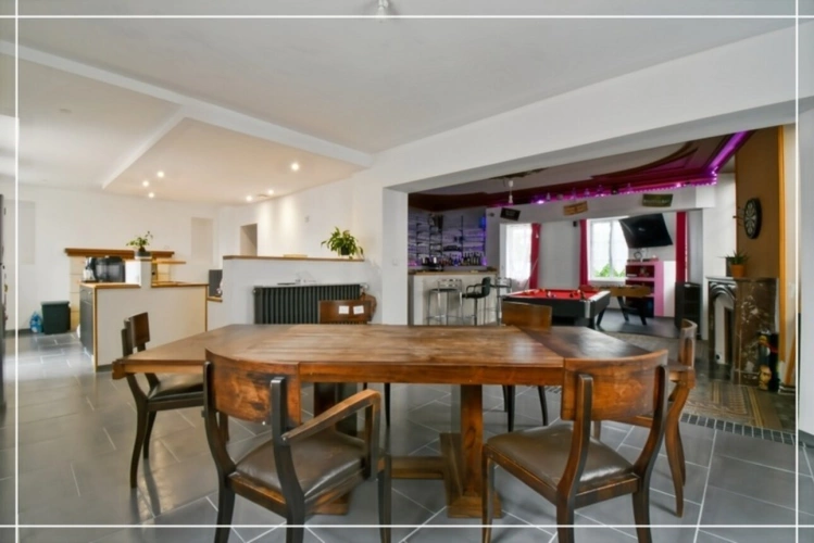 Photos 56 - Touristique - Proprieté comprenant 2 maison et 1 appartement CHATEAUMEILLANT (18)