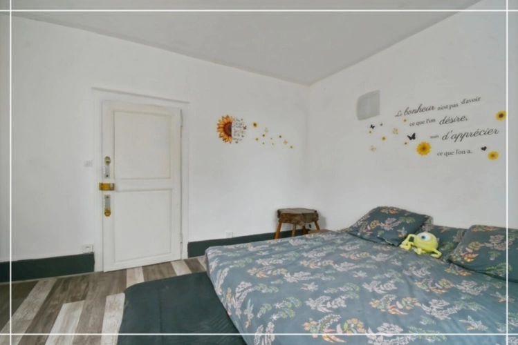 Photos 61 - Touristique - Proprieté comprenant 2 maison et 1 appartement CHATEAUMEILLANT (18)