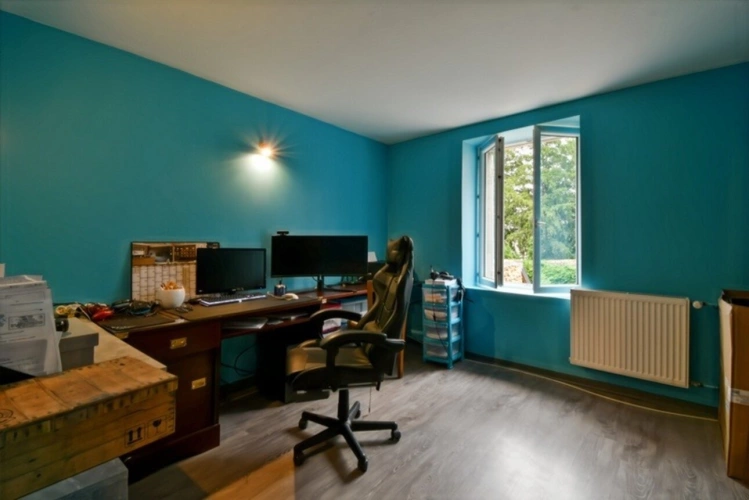 Photos 93 - Touristique - Proprieté comprenant 2 maison et 1 appartement CHATEAUMEILLANT (18)