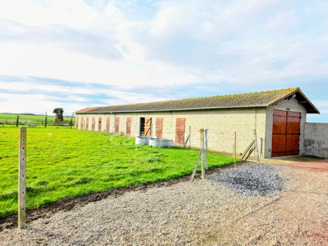 Photos 9 - Equestrian - PROPRIÉTÉ AVEC INSTALLATIONS ÉQUESTRES de 154 m² Secteur CHÉPY (80)