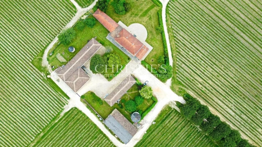 Photos 1 - Viticole - Propriété viticole de 28 ha en excellent état avec bâtiments de caractère