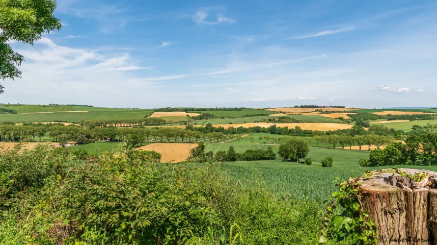Photos 16 - Touristique - Vente d'une maison principale, avec trois gites