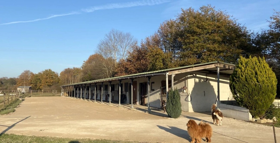 Photos 6 - Équestre - Ecurie de propriétaire sur 2 ha en Sologne