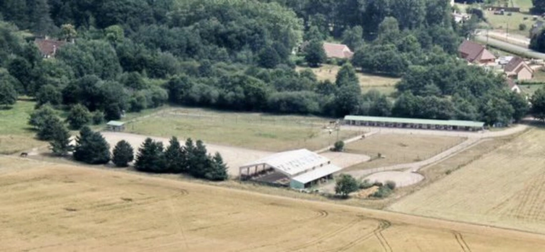 Photos 8 - Équestre - Ecurie de propriétaire sur 2 ha en Sologne