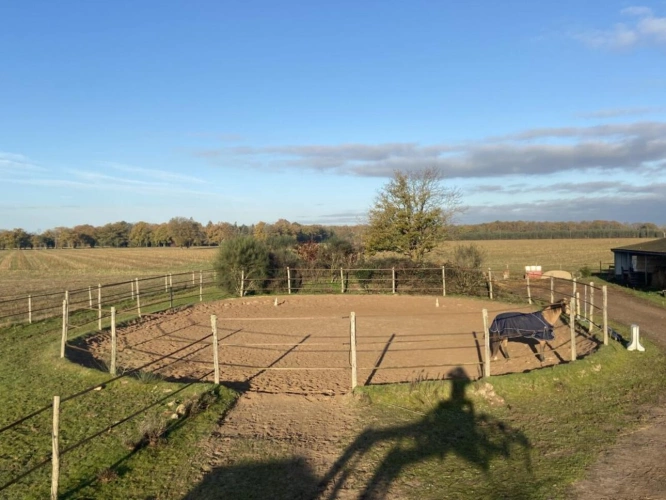 Photos 10 - Équestre - Ecurie de propriétaire sur 2 ha en Sologne