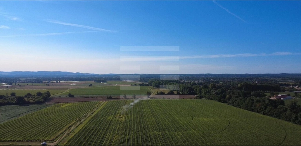 Photos 2 - Agricole - Propriété agricole