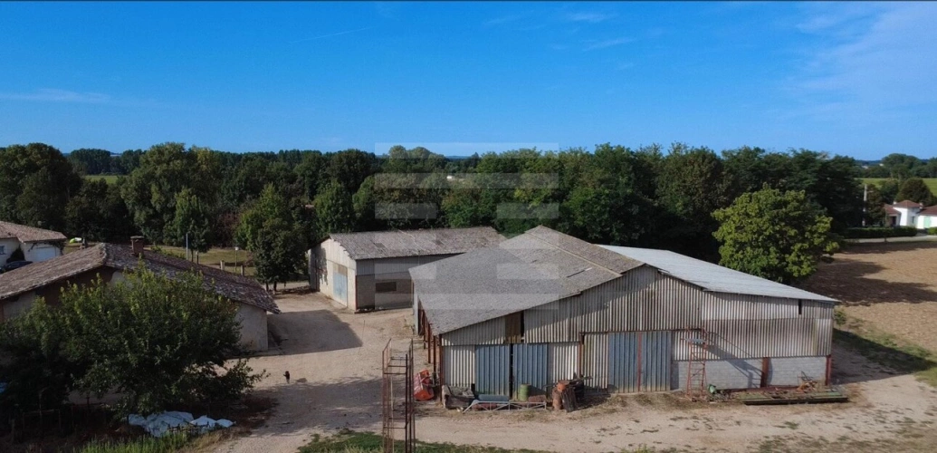 Photos 6 - Agricole - Propriété agricole