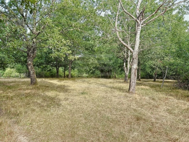 Photos 12 - Prestige - Maison de campagne