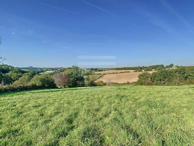 Photos 2 - Agricole - Ovins / Caprins