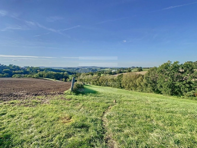 Photos 4 - Agricole - Ovins / Caprins