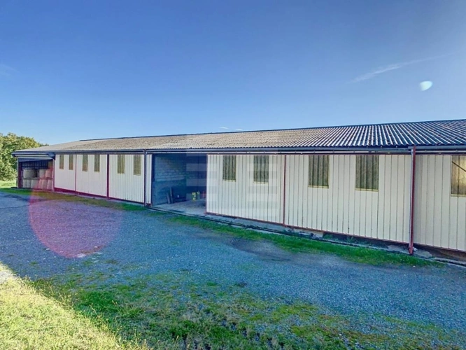 Photos 7 - Agricole - Ovins / Caprins