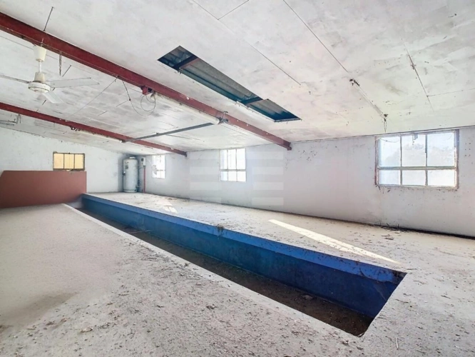 Photos 12 - Agricole - Ovins / Caprins