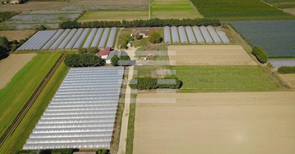 Photos 1 - Agricole - Horticole / Maraîchage