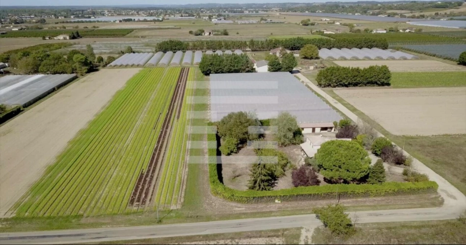 Photos 3 - Agricole - Horticole / Maraîchage