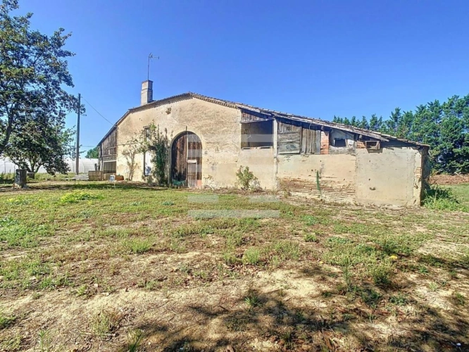 Photos 6 - Agricole - Horticole / Maraîchage