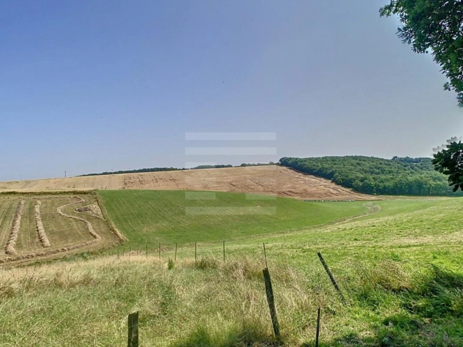 Photos 2 - Agricultural - Farming property