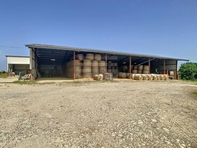 Photos 8 - Agricultural - Farming property