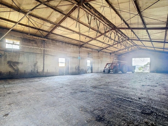 Photos 9 - Agricultural - Farming property