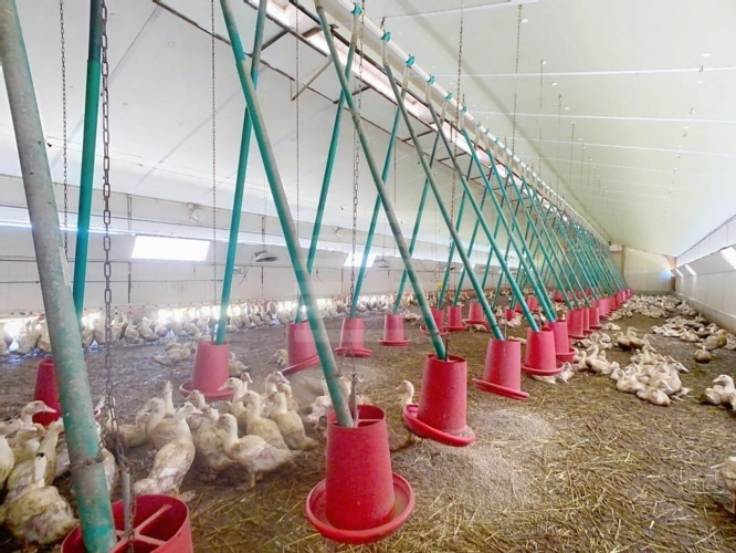 Photos 11 - Agricultural - Farming property