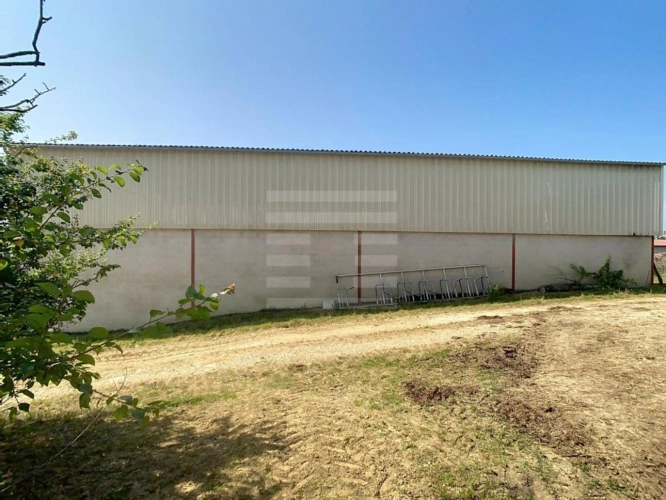 Photos 12 - Agricultural - Farming property