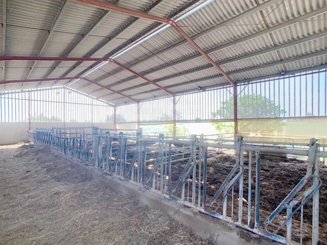 Photos 13 - Agricultural - Farming property