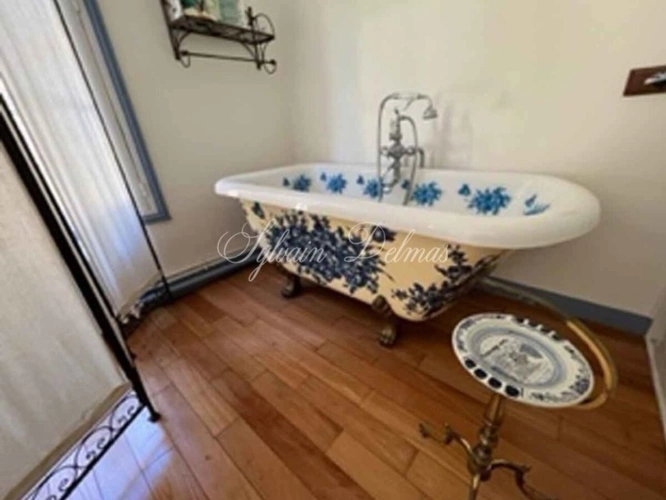 Photos 13 - Prestige - Propriete à vendre 16 pièces proche de AMBOISE (37)