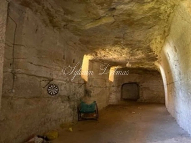 Photos 14 - Prestige - Propriete à vendre 16 pièces proche de AMBOISE (37)