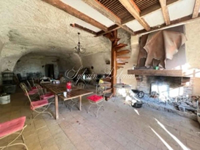 Photos 16 - Prestige - Propriete à vendre 16 pièces proche de AMBOISE (37)