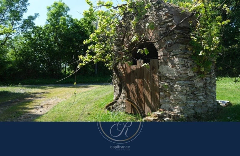 Photos 28 - Touristique - Un havre de paix au cœur des vignes du Layon – Propriété avec gîtes et parc arboré