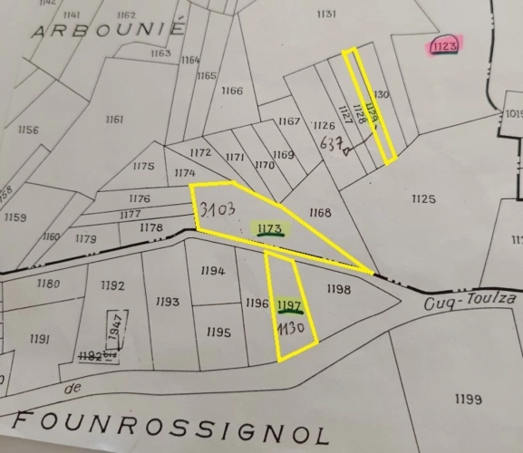 Photos 3 - Forestière - Terrain boisé – forêt