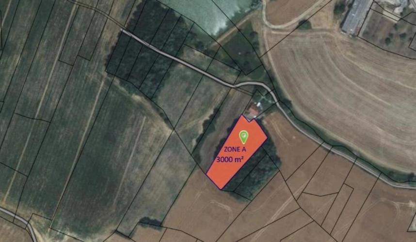 Photos 2 - Forestière - Terrain boisé – forêt