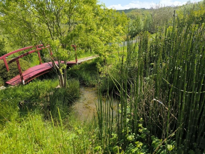 Photos 6 - Rurale - Propriété