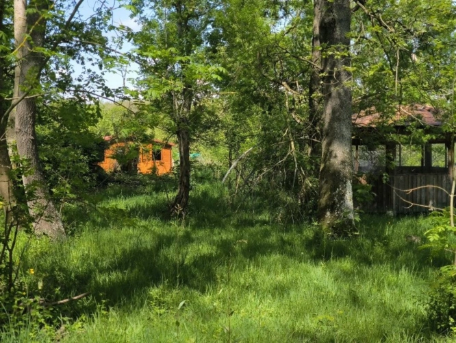 Photos 14 - Rurale - Propriété