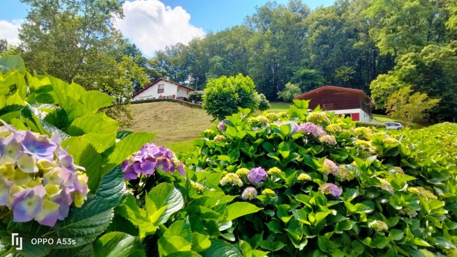 Photos 2 - Touristique - Maison