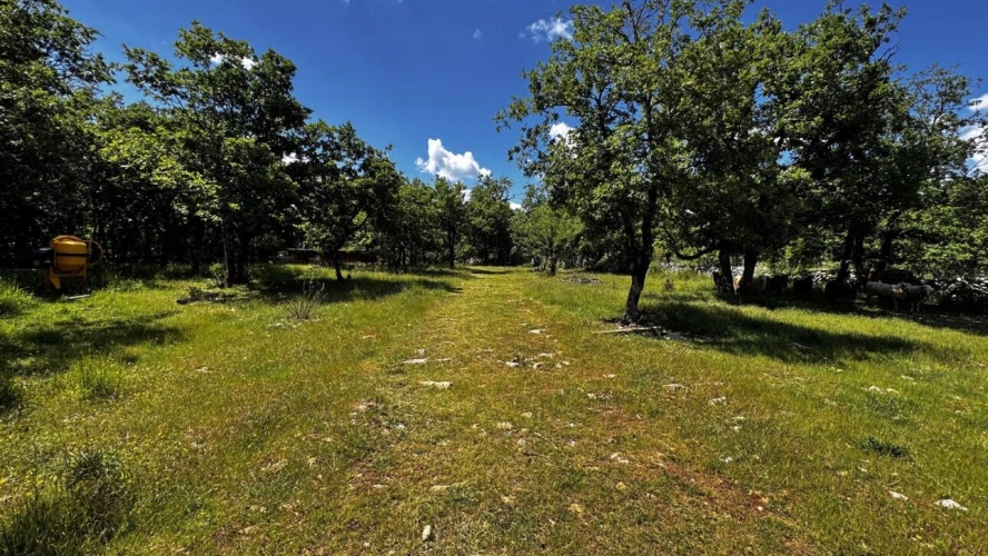 Photos 5 - Agricole - Terrain