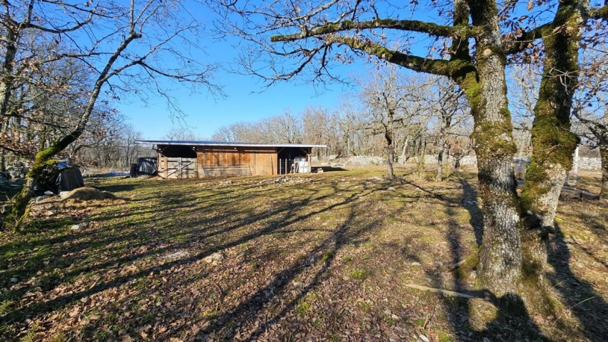 Photos 10 - Agricole - Terrain